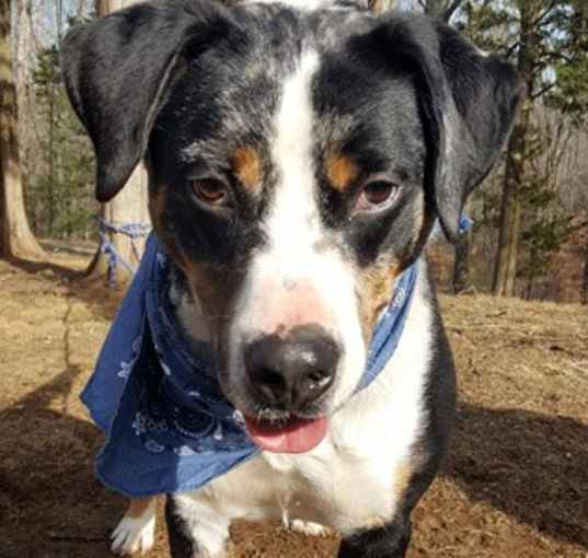 Photo of Marbles