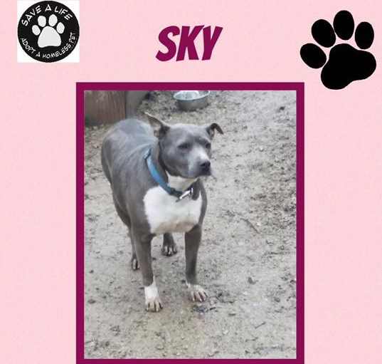 Photo of Sky