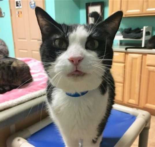 Photo of Sammy