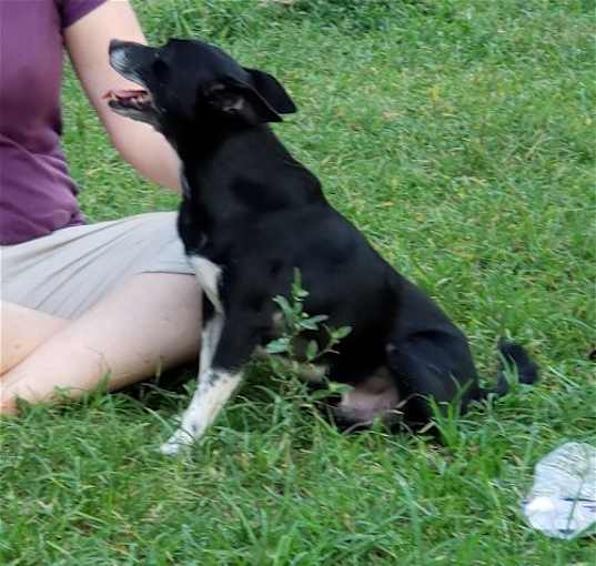 Photo of Jack