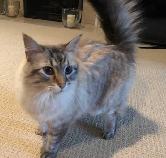 Photo of Marley