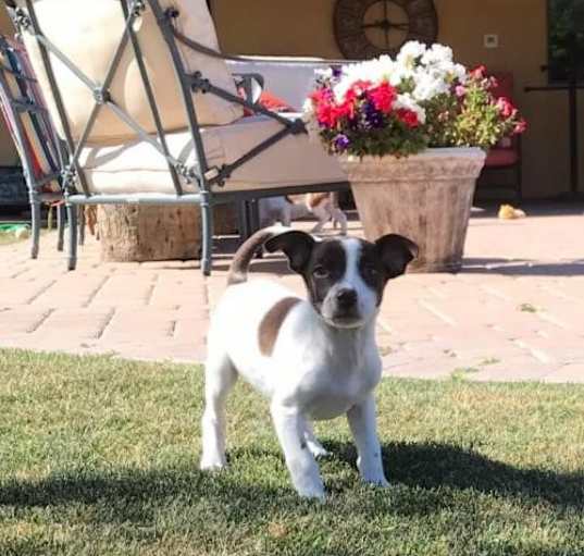 Photo of Ricky