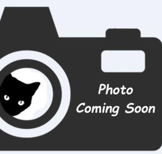 Photo of Gizelle