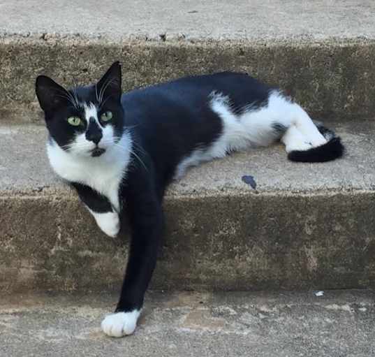 Photo of Stoffles