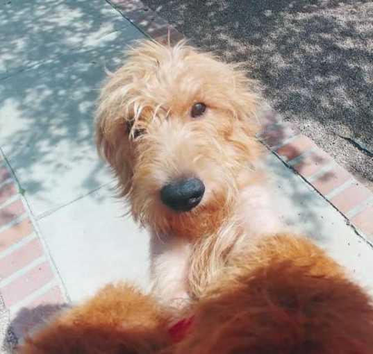 Photo of Annabeth