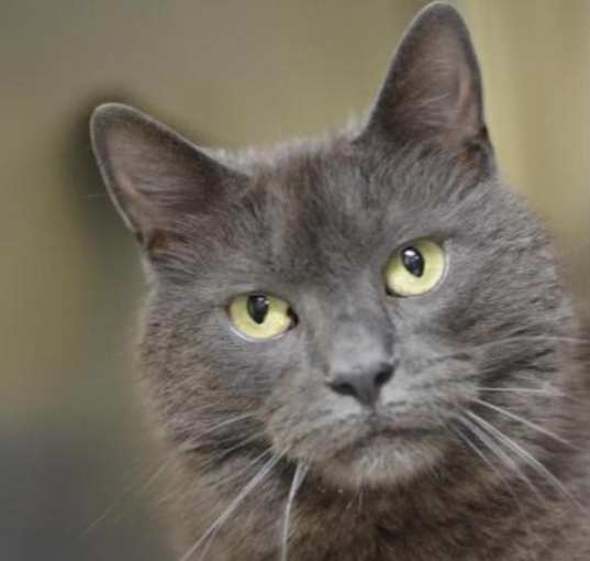 Photo of Frazier