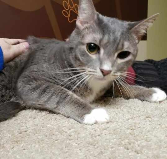 Photo of Coco