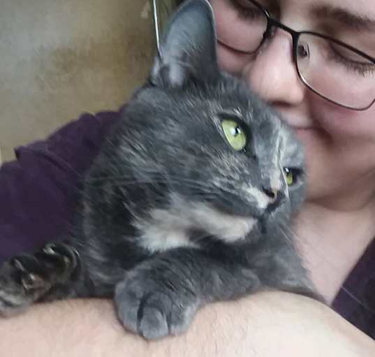 Photo of Marbles
