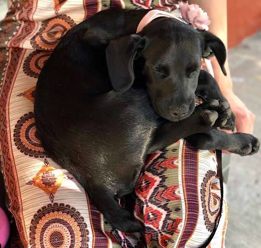 Photo of Sophia