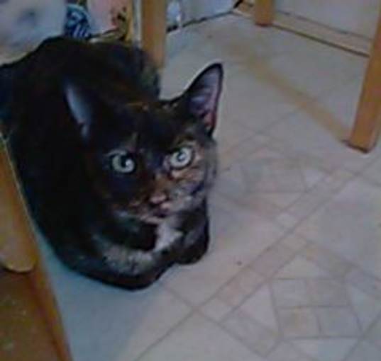 Photo of Precious