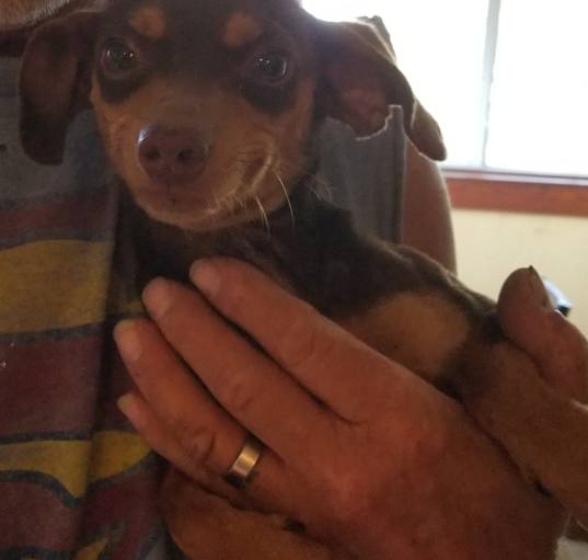 Photo of Charlie