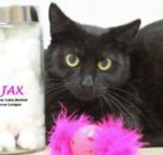 Photo of Jax