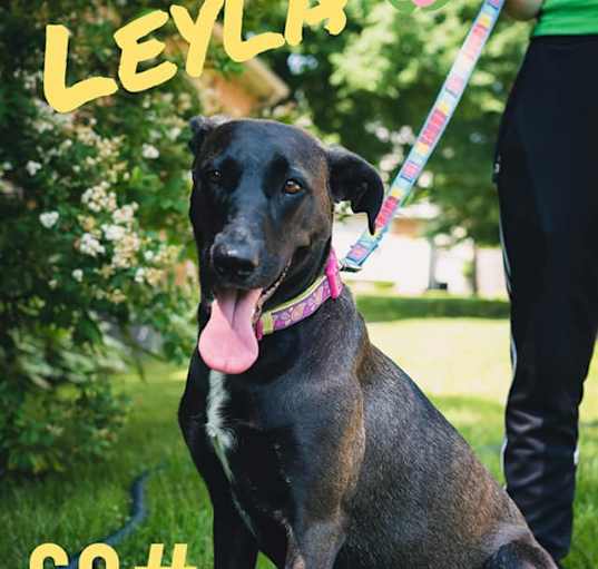 Photo of Leyla