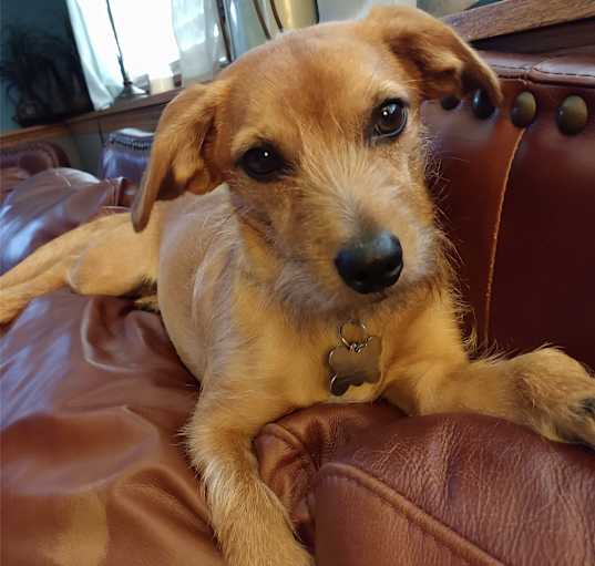 Photo of Huey