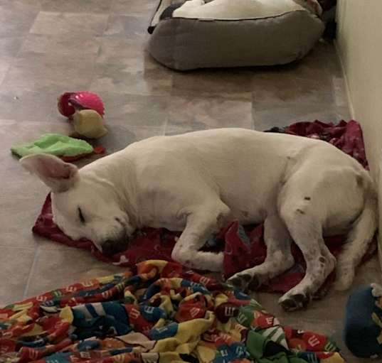 Photo of Lexi