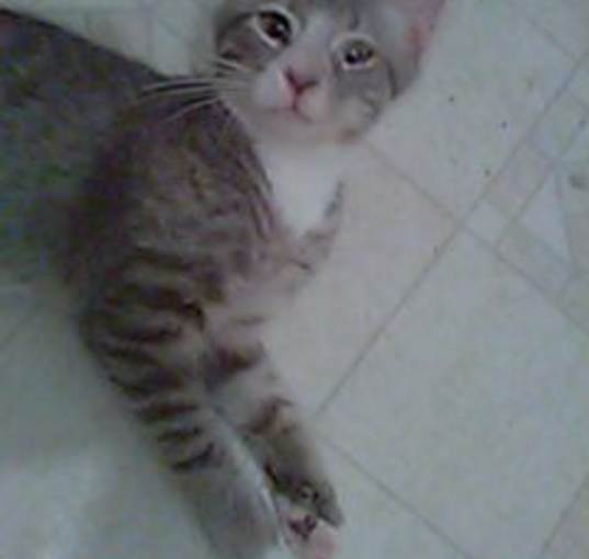 Photo of Edgar