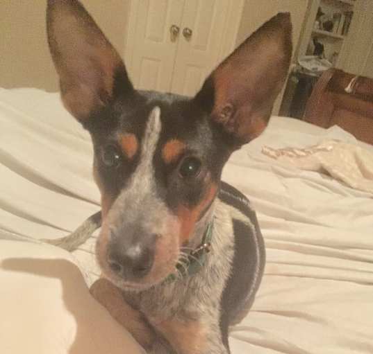 Photo of BETTY