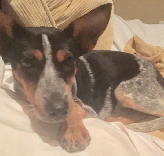 Photo of BETTY