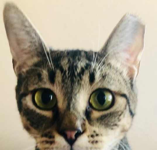 Photo of ANIKA