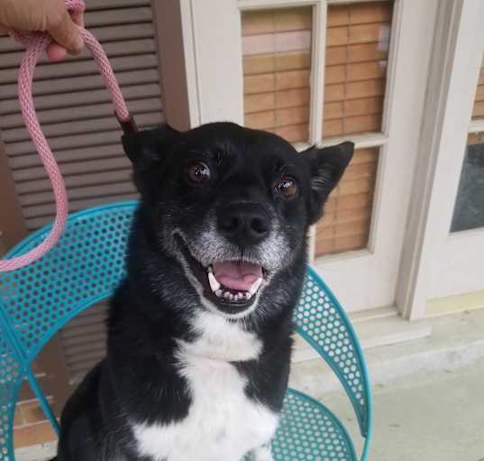 Photo of Lucy