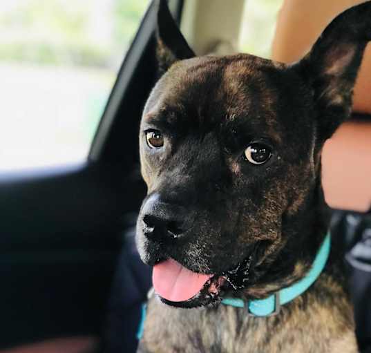 Photo of Jax