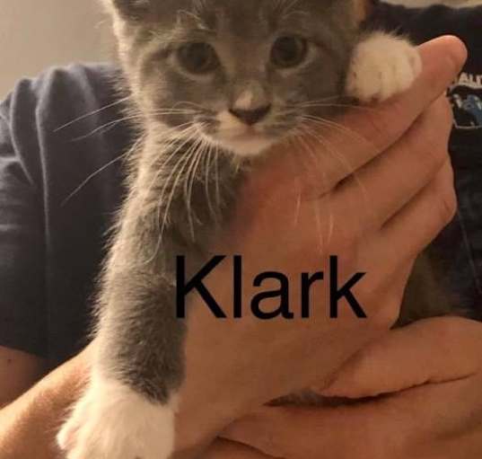 Photo of Klark