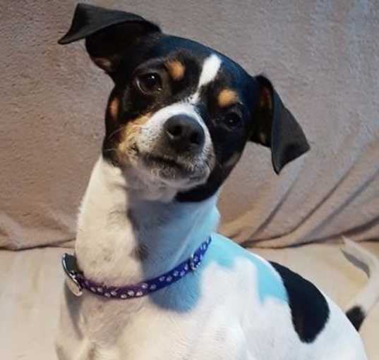 Photo of Rizzo