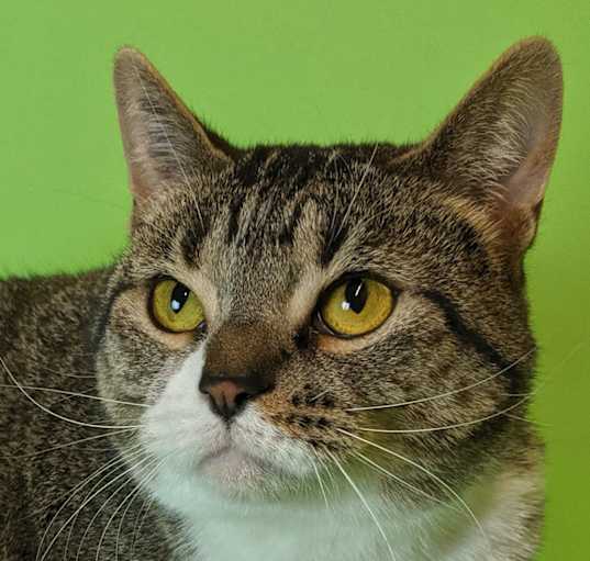 Photo of Sloane