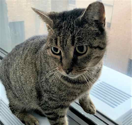 Photo of STRIPEY - LOVE SEEKING BOY!