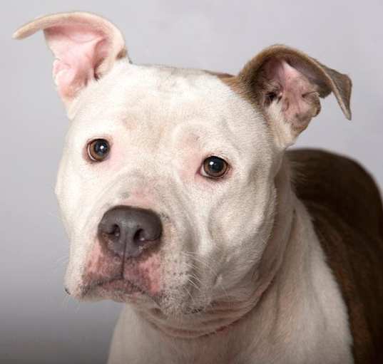 Photo of Carmen