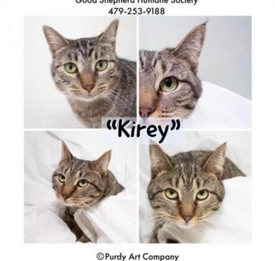 Photo of Kirey
