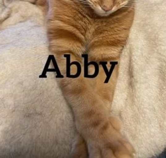 Photo of Abby