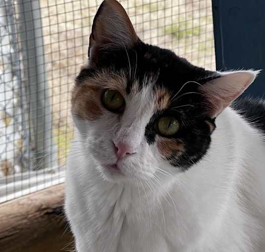 Photo of Miss Pretty