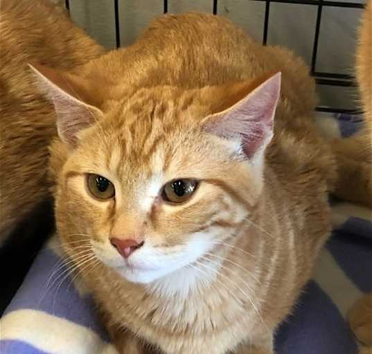 Photo of Buttons