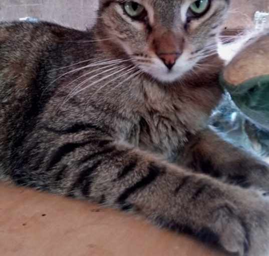 Photo of Calvin