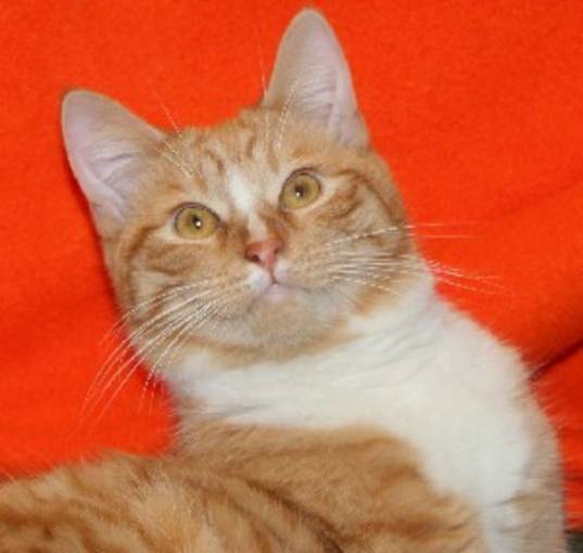 Photo of Marcus
