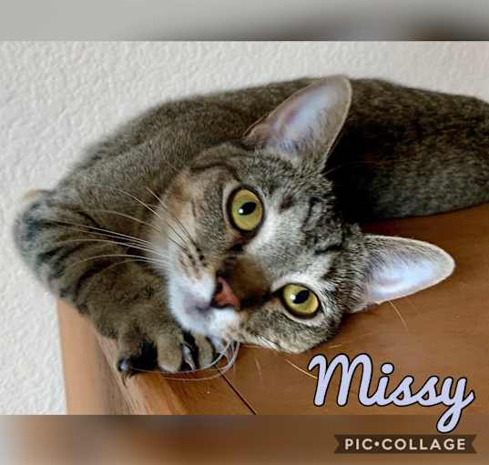 Photo of Missy