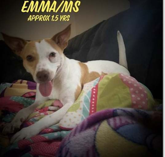 Photo of Emma/Ms*