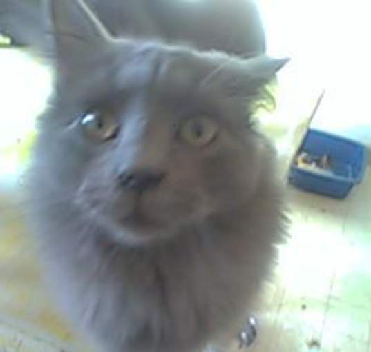 Photo of Kit