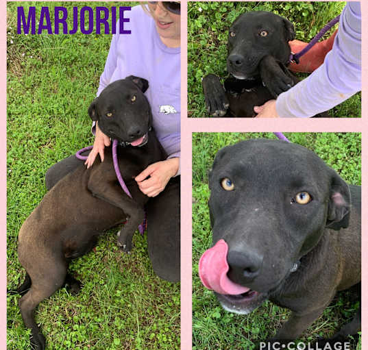 Photo of Marjorie