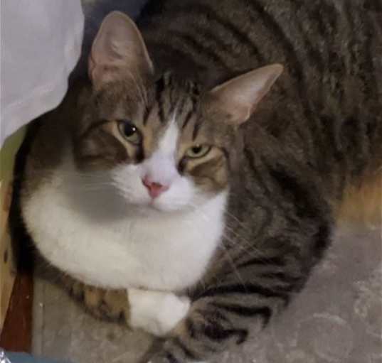 Photo of Lucky R