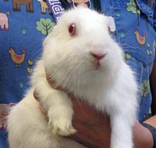 Photo of CLOUD