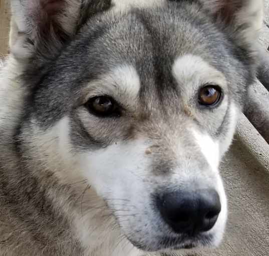 Photo of Nyah