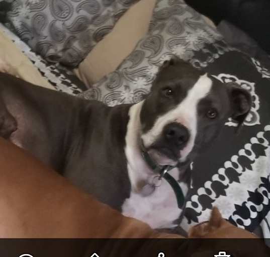 Photo of Zeus