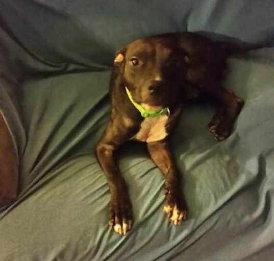 Photo of Ayla