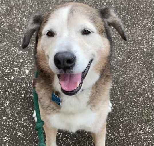 Photo of Patch