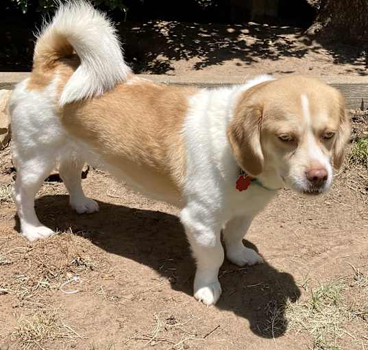 Photo of Simba W- sanctuary