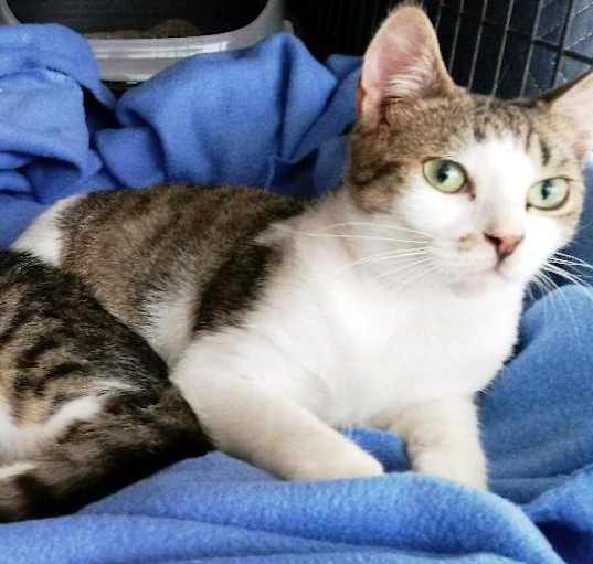 Photo of Gretel