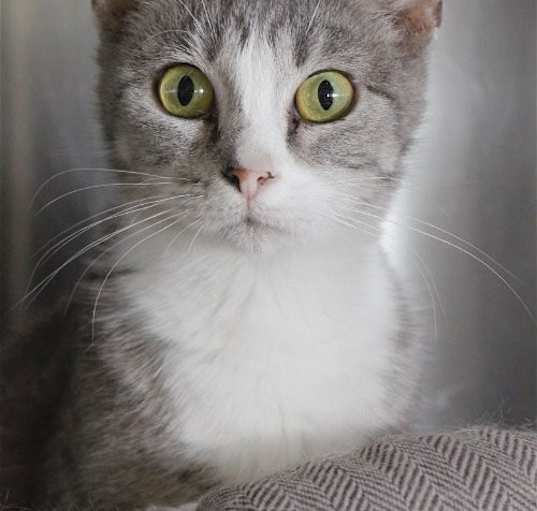 Photo of Greta