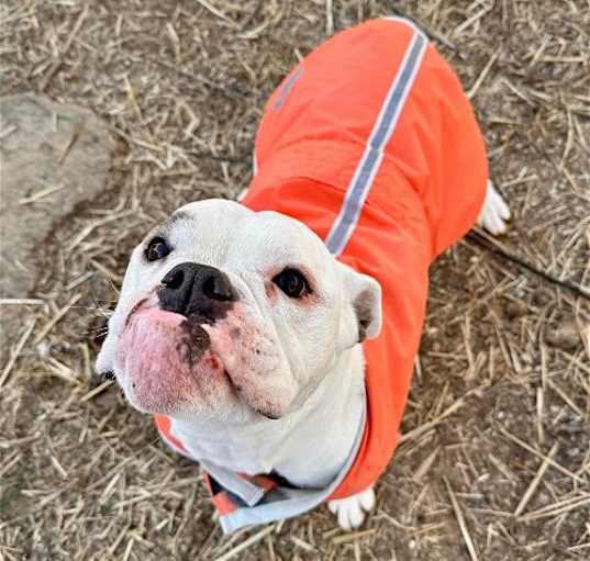 Photo of Daisy Mae